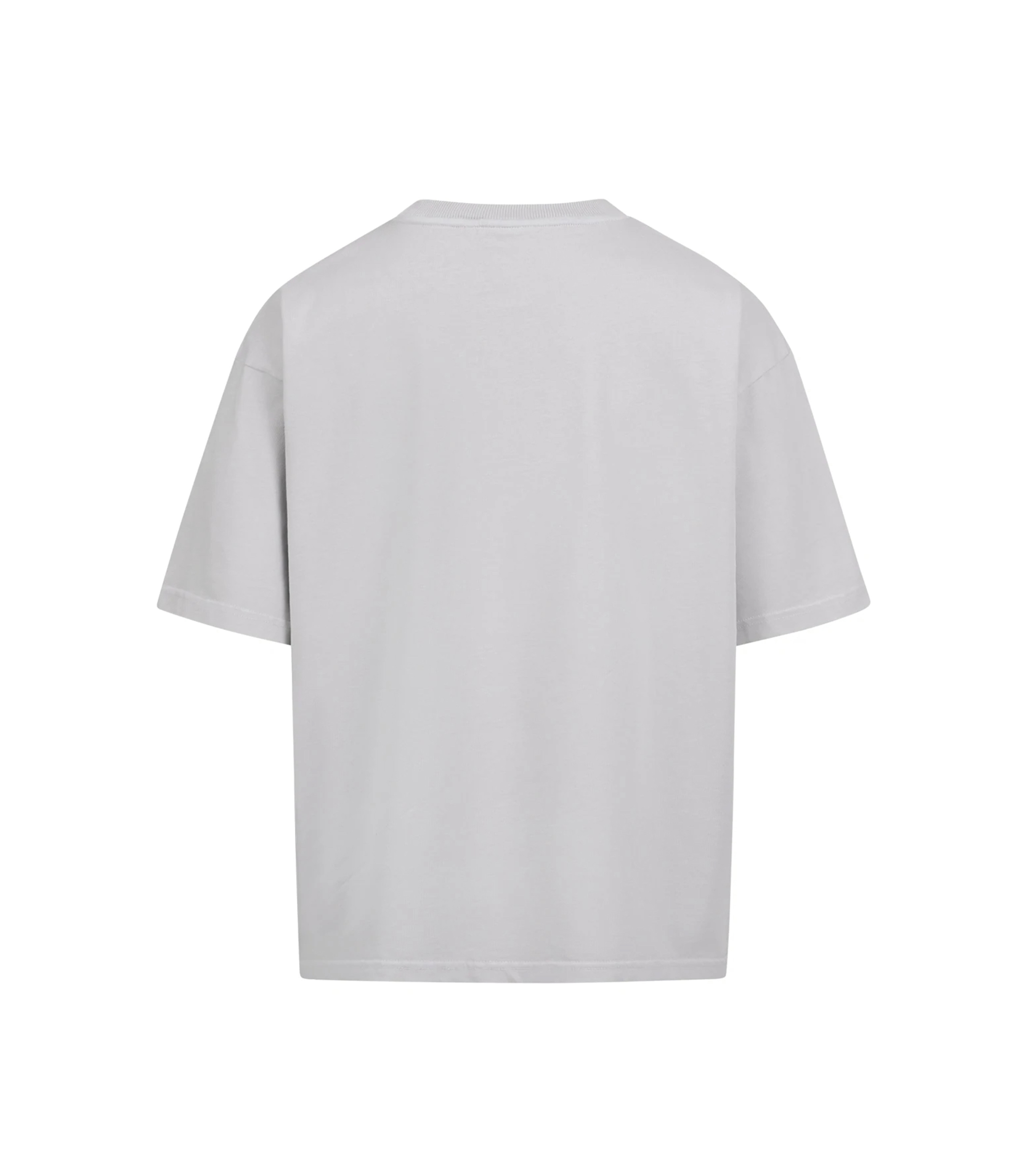 GIRLFRIEND 2.0 TEE GREY (350 GSM)